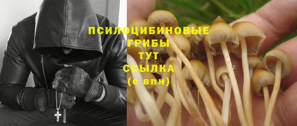 MDMA Гусиноозёрск