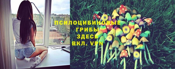 MDMA Гусиноозёрск