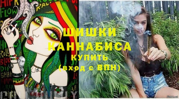 PSILOCYBIN Гусь-Хрустальный