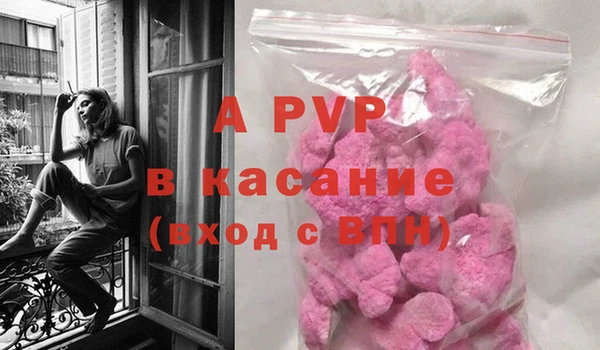 PSILOCYBIN Гусь-Хрустальный