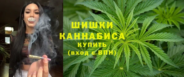 ешки Гусев