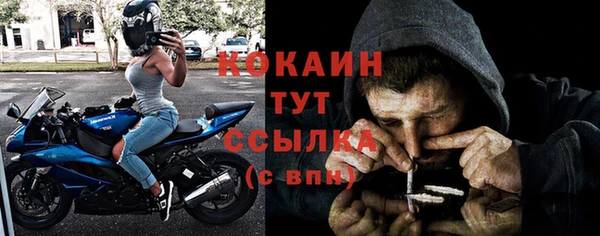 PSILOCYBIN Гусь-Хрустальный