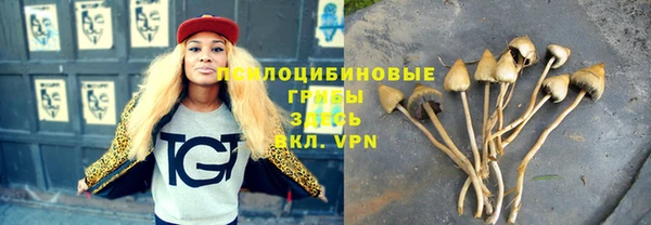 ешки Гусев