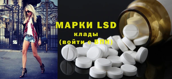 ешки Гусев
